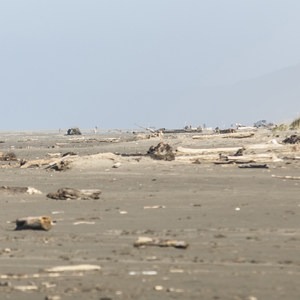 Ocean City 'Beach' State Park