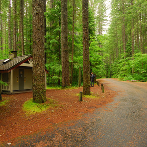 Lower Falls Campground