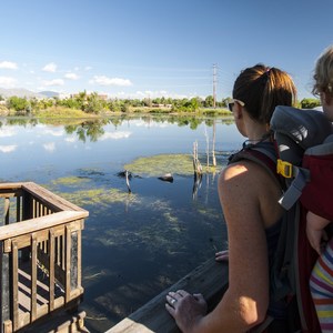 Walden Ponds Wildlife Habitat, Wally Toevs Pond