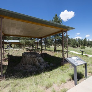 Florissant Fossil Beds National Monument