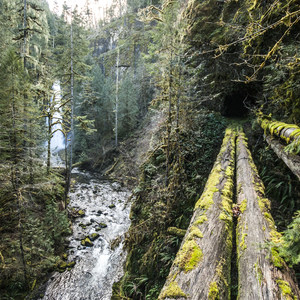 Clackamas + Memaloose Falls