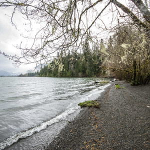 Lake Quinault, Willaby Campground