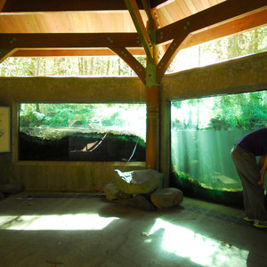 Wildwood Recreation Site