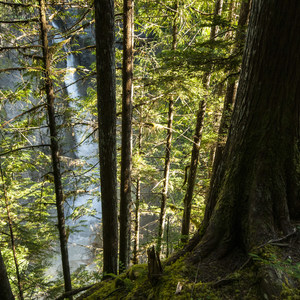 Rainbow Creek and Rainbow Falls