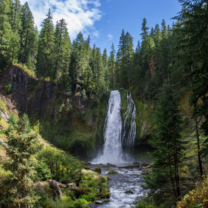 Lemolo Falls via the Lemolo Falls Trail