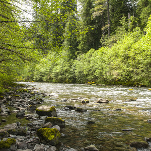 Riverside Campground