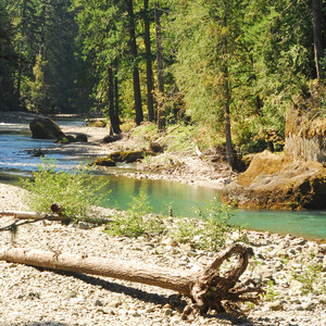 La Wis Wis Campsites (Loop H)