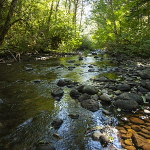 Big Creek Campground