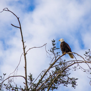 Lopez Island: Otis Perkins Day Park