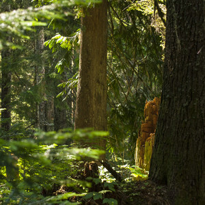 Boulder Ridge Trail Hike