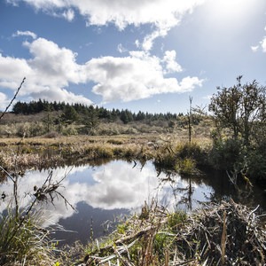 Ocean City State Park Campground