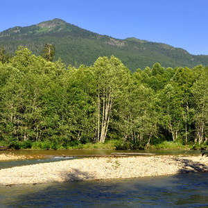 Silver Fir Campground