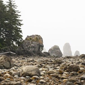 Ozette Triangle Loop Trail