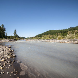 Nisqually River Campsite