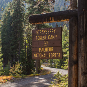 Strawberry Campground