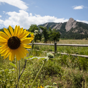 Chautauqua Trail Hike