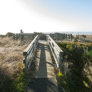 Westport Light State Park