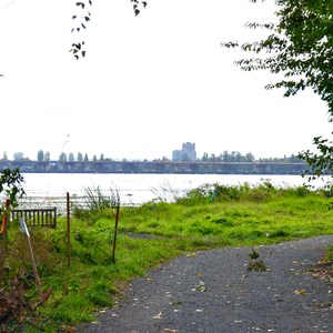 Wahkiakum Lane Trail, Union Bay Natural Area
