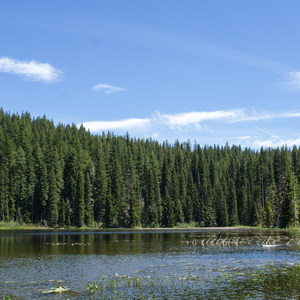 Otter Lake