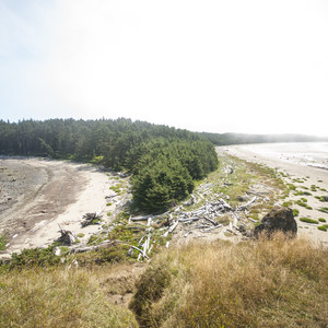 Ozette, North Sand Point Trail