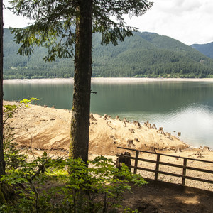 Detroit Lake, Southshore Campground