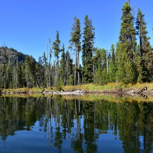 Payette River Meanders