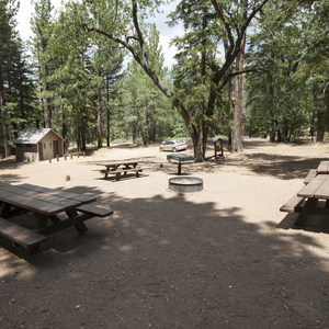 Buttercup Group Camp