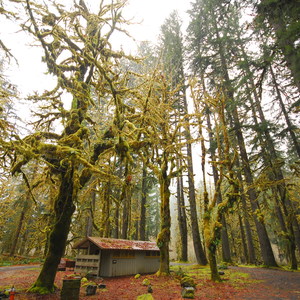 Graves Creek Campground