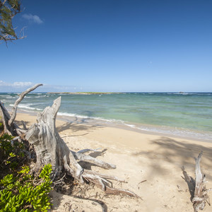 Mālaekahana State Recreation Area Campground