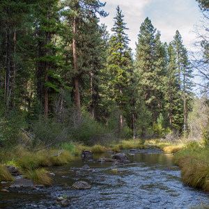 Middle Fork Campground