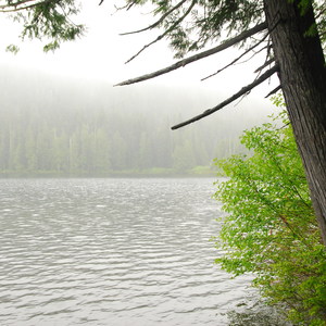 Lost Lake Lakeshore Trail