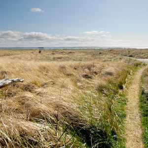Oyhut Wildlife Recreation Area + Beach