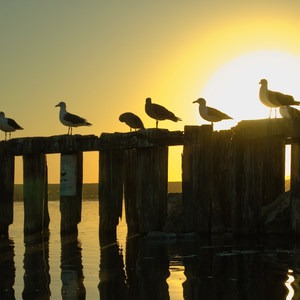 Rio Del Mar State Beach