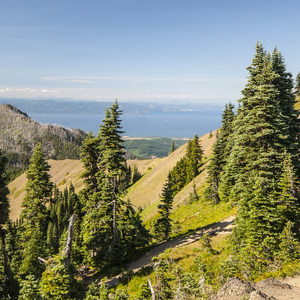 Klahhane Ridge Trail + Sunrise Point