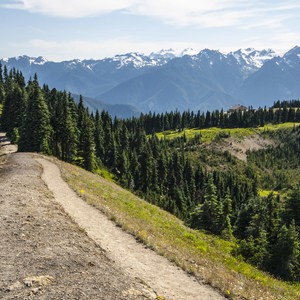 10 Amazing Day Hikes in Olympic National Park