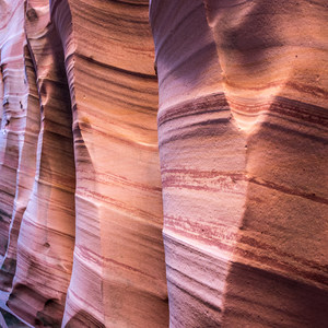 Zebra Canyon + Tunnel Slot Hike