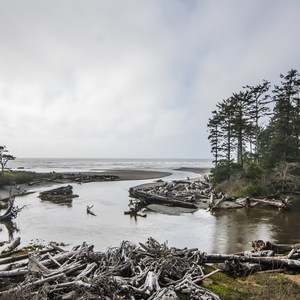 Kalaloch Beach + Rocks