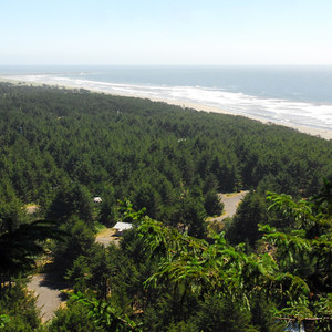 McKenzie + North Head Hiking Trails