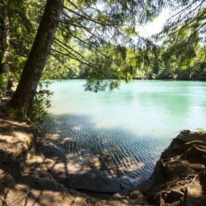 Baker Lake, Bayview South Group Campsite