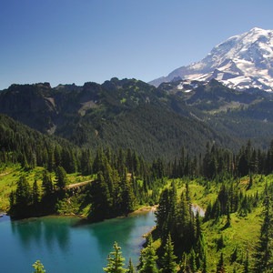 Best Camping Near Mount Rainier