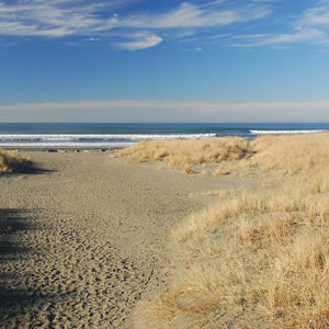 Twin Harbors State Park