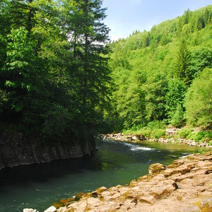 Wilson River, Mile 15