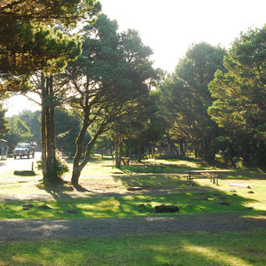 Twin Harbors State Park Campground