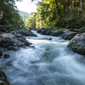 Sol Duc River Salmon Cascades
