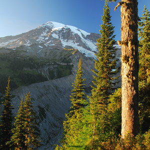 Nisqually Vista Trail