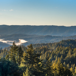 Skyline to the Sea Trail: Saratoga Gap to Big Basin Headquarters