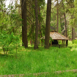 Pioneer Ford Campground