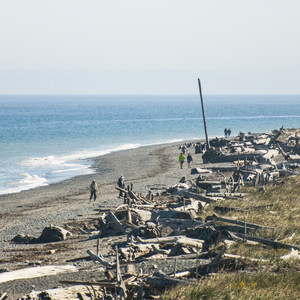 Dungeness Spit