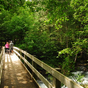 North Fork Campground