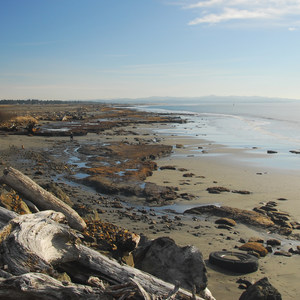 North Cove, Washaway Beach